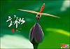 입추(立秋)