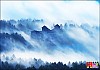 선경