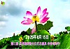 第二届 世界朝鲜族文化艺…